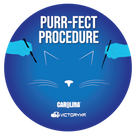 VR Cat Dissection: Purr-fect Procedure