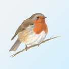 RSPB eGuide to British Birds