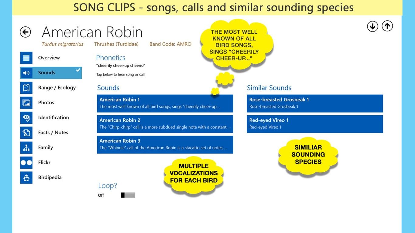 Song Clips: each bird has several vocalizations, phonetics and similar sounding