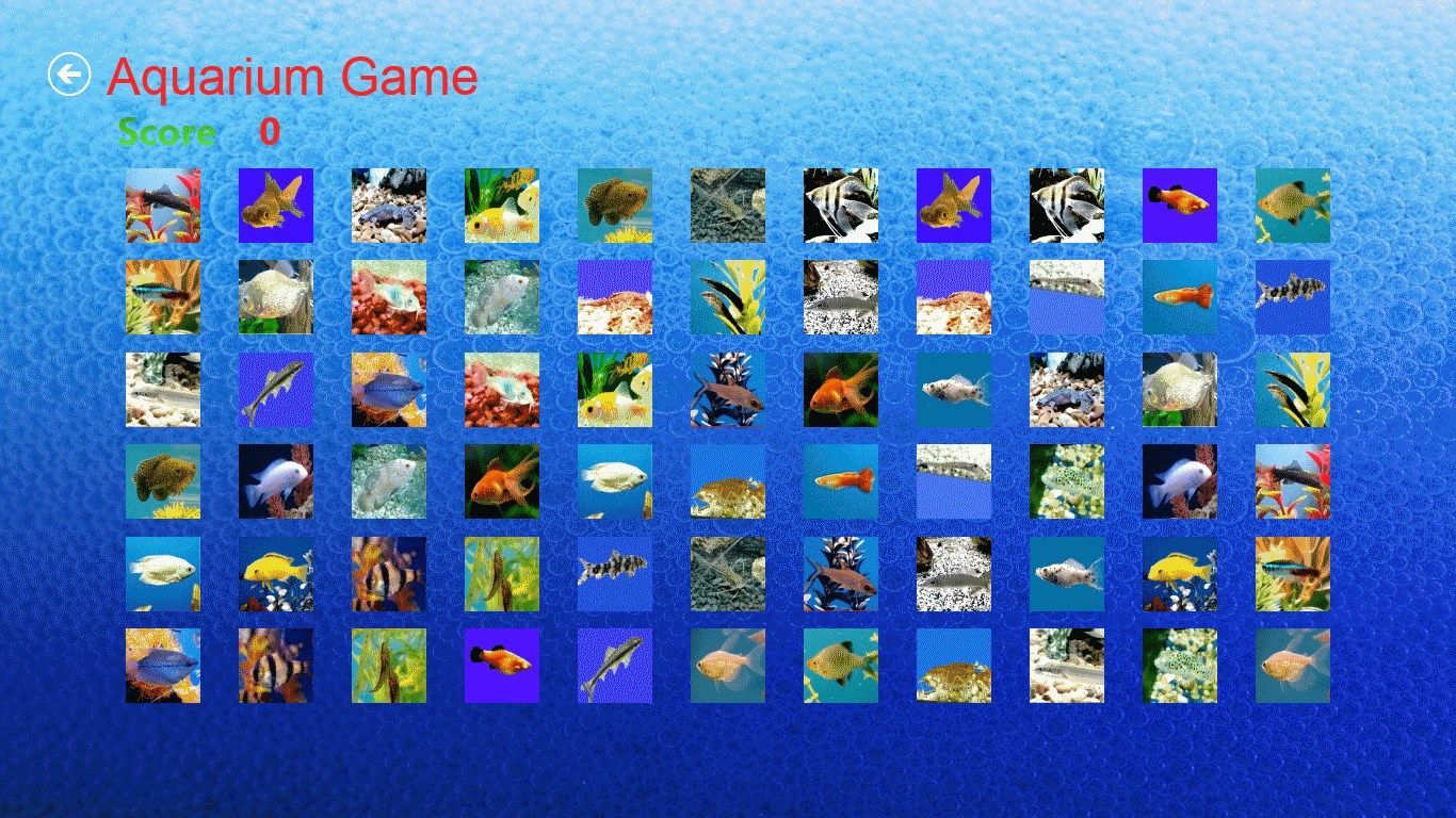 Easy Level Aquarium Game