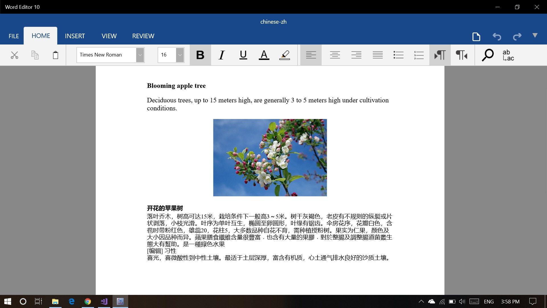 Get full word feature for windows 10.
