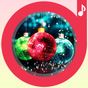 New Year Songs Ringtones