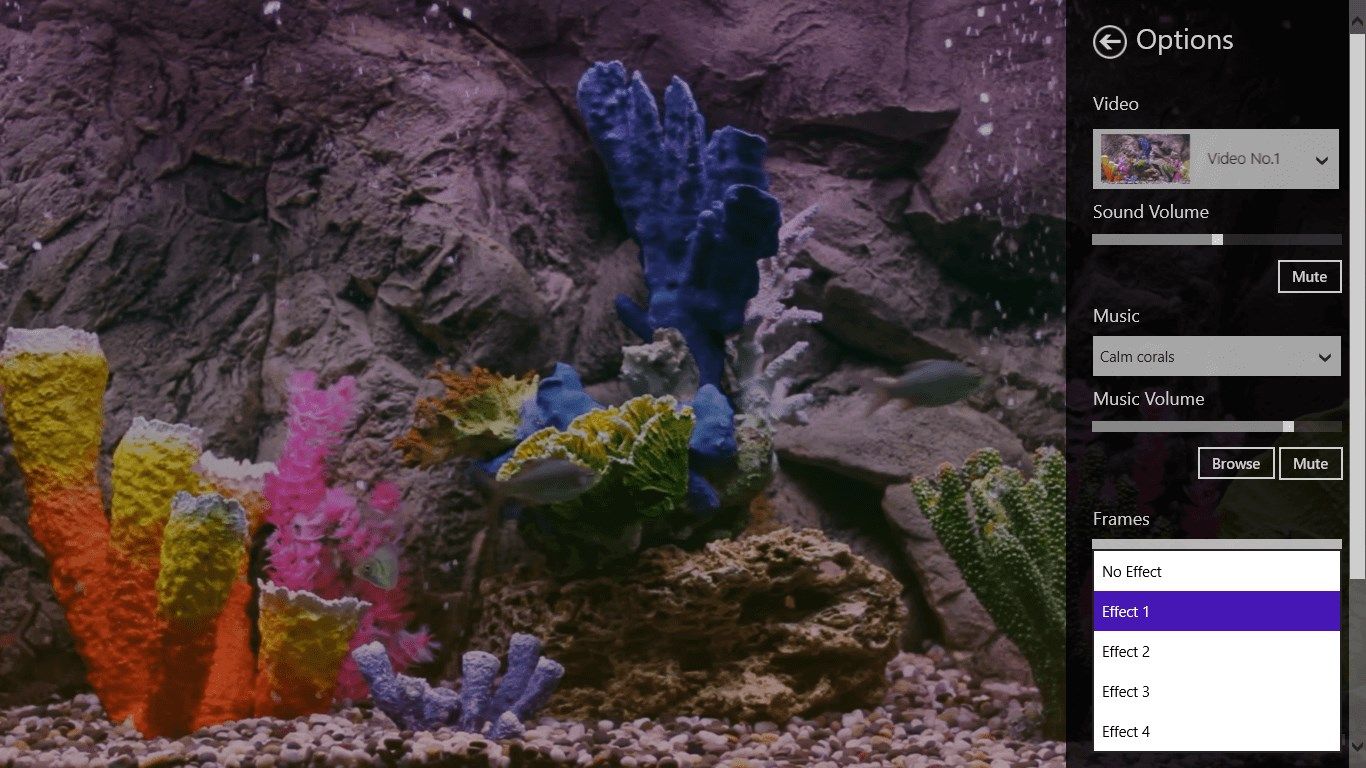 Real coral aquarium HD
