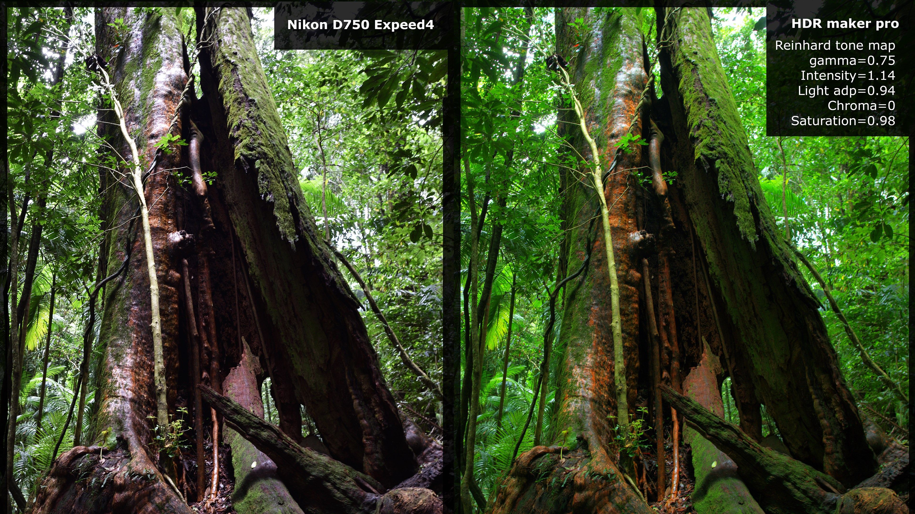 HDR maker pro vs Nikon D750, details in the highlight and shadow are back!