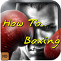 HowTo Boxing