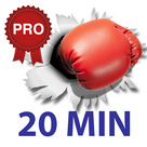 20 Minute Boxing Workout PRO