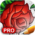 How to Draw Roses: Pro Edition