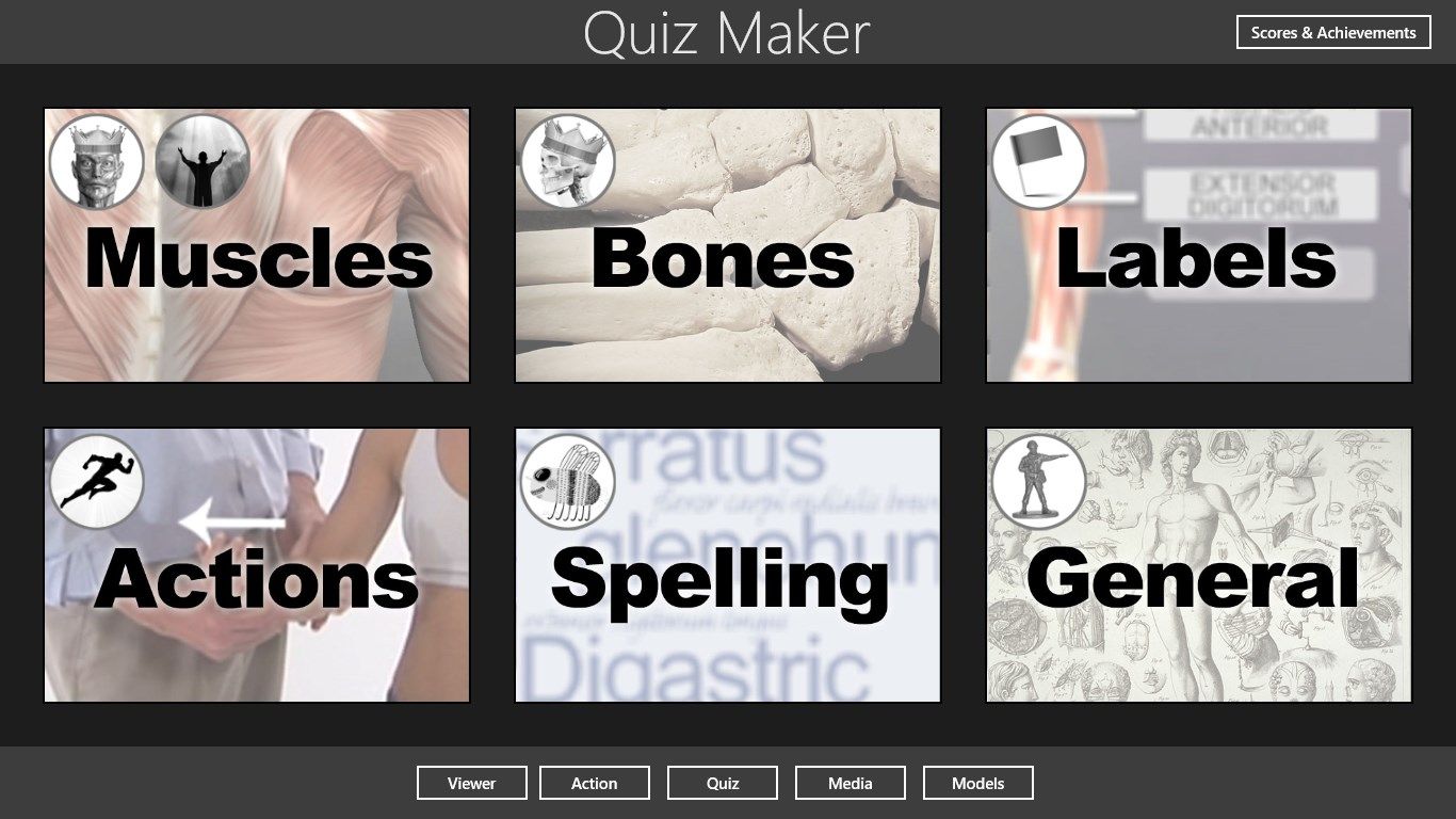 Choose from 6 different types of quizzes