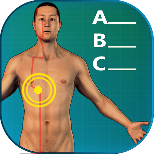 Acupuncture Quiz - Point Locations