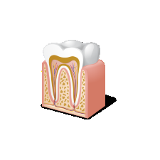 Dentist OK