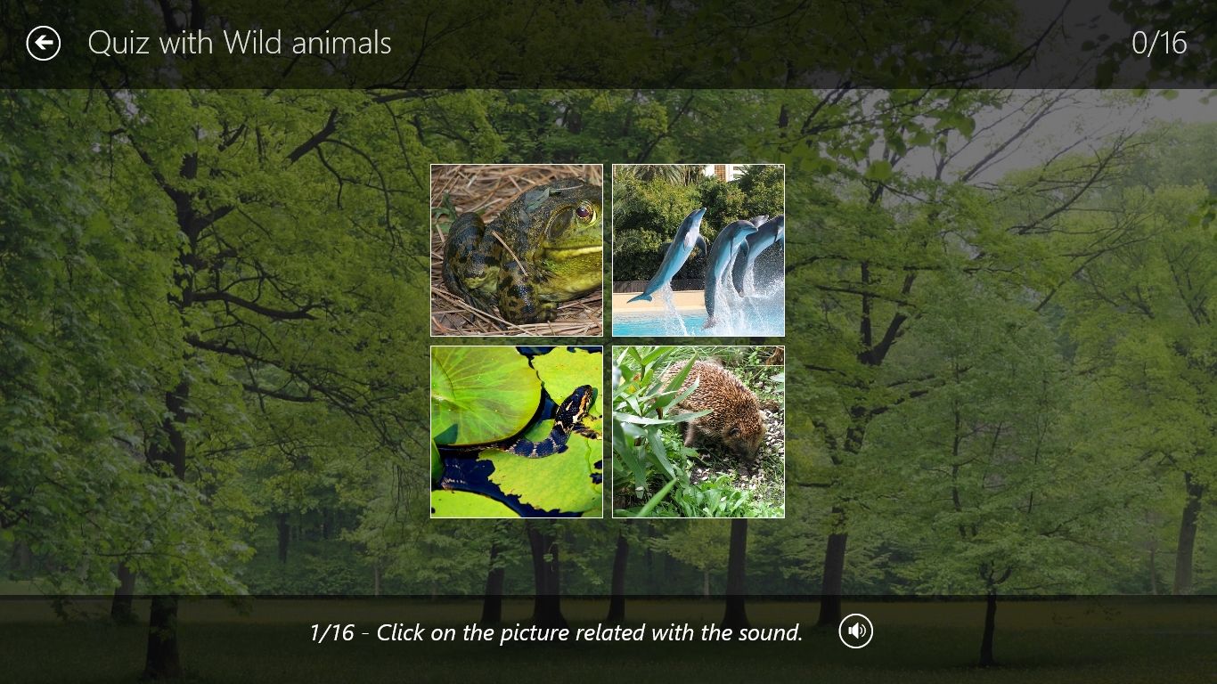 Listen the sound and click on the corresponding picture