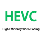 HEVC Algorithms and Architectures.