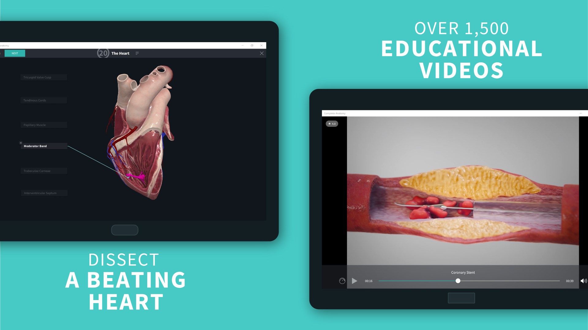 Study a beating human heart in incredible 3D and access over 1,500 videos covering topics in Cardiology, Orthopedics, Ophthalmology, Fitness, and Dentistry