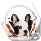 Dog Sounds and Ringtones for Phone