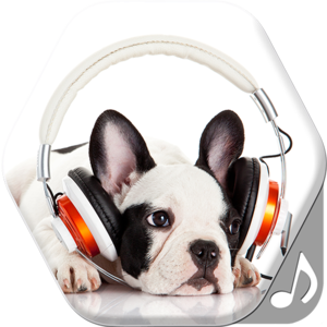 Dog Sounds and Ringtones for Phone