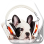 Dog Sounds and Ringtones for Phone