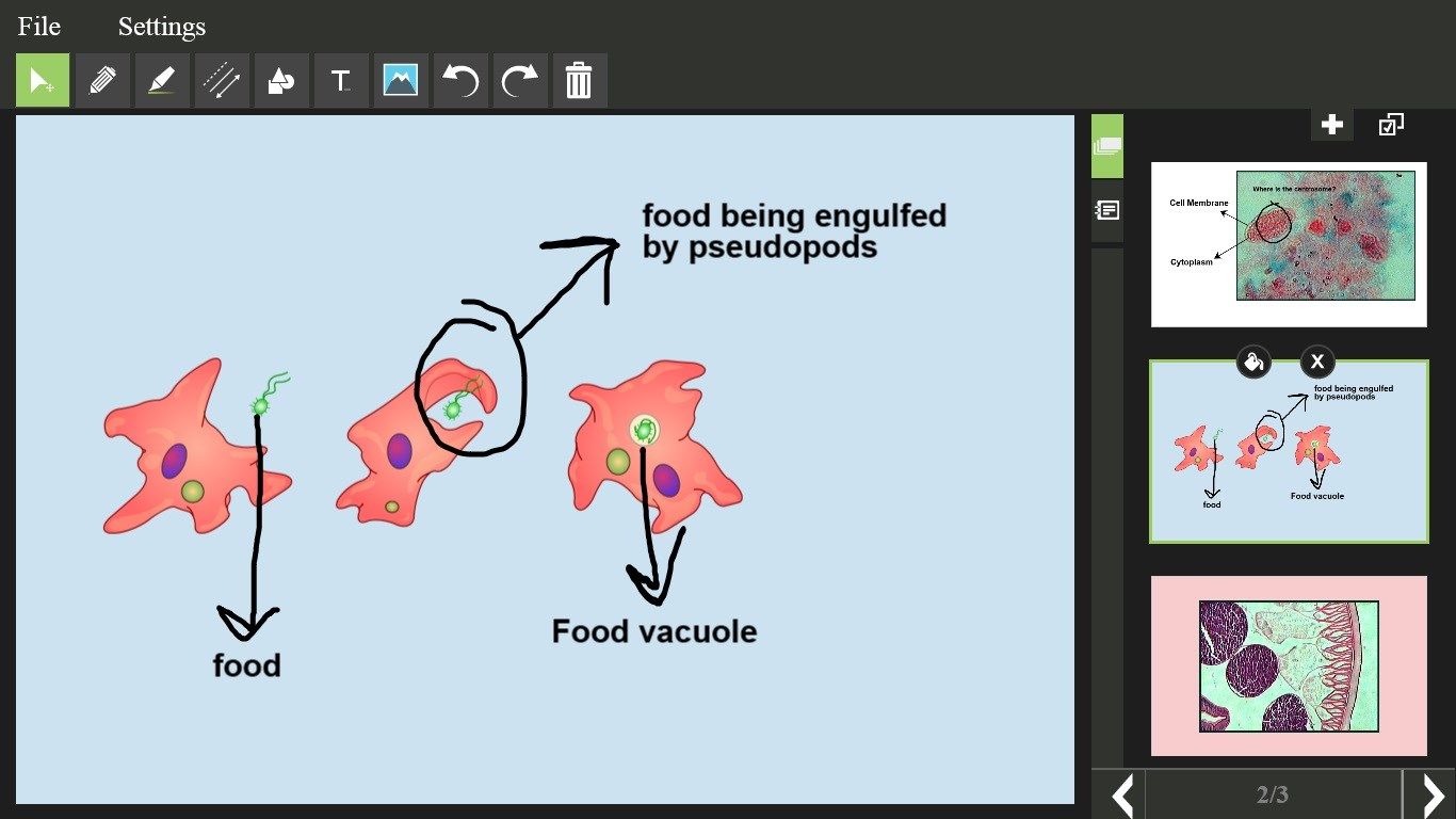 Upload photos, add images, draw, and add text to illustrate your ideas or study for tests.