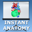 Anatomy of the Heart Lecture