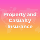 Property & Casualty Insurance 2017