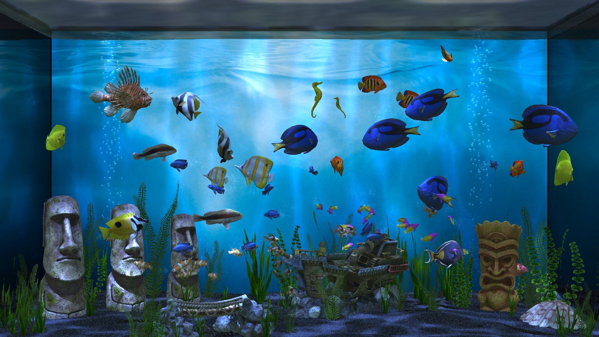 Rich aquariums with multiple ornaments, wallpapers and floors.
