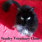 Stanley Vet Clinic