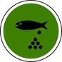 Fishing News