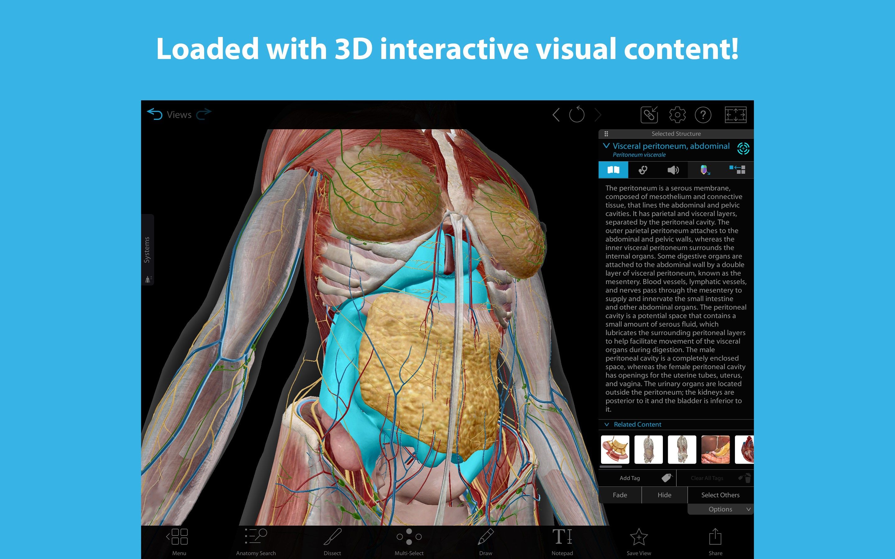 Human Anatomy Atlas 2023: Complete 3D Human Body