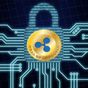 Ripple cryptocurrency XPR - Crypto altcoin course