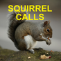 Squirrel Calls & Squirrel Sounds for Squirrel Hunting