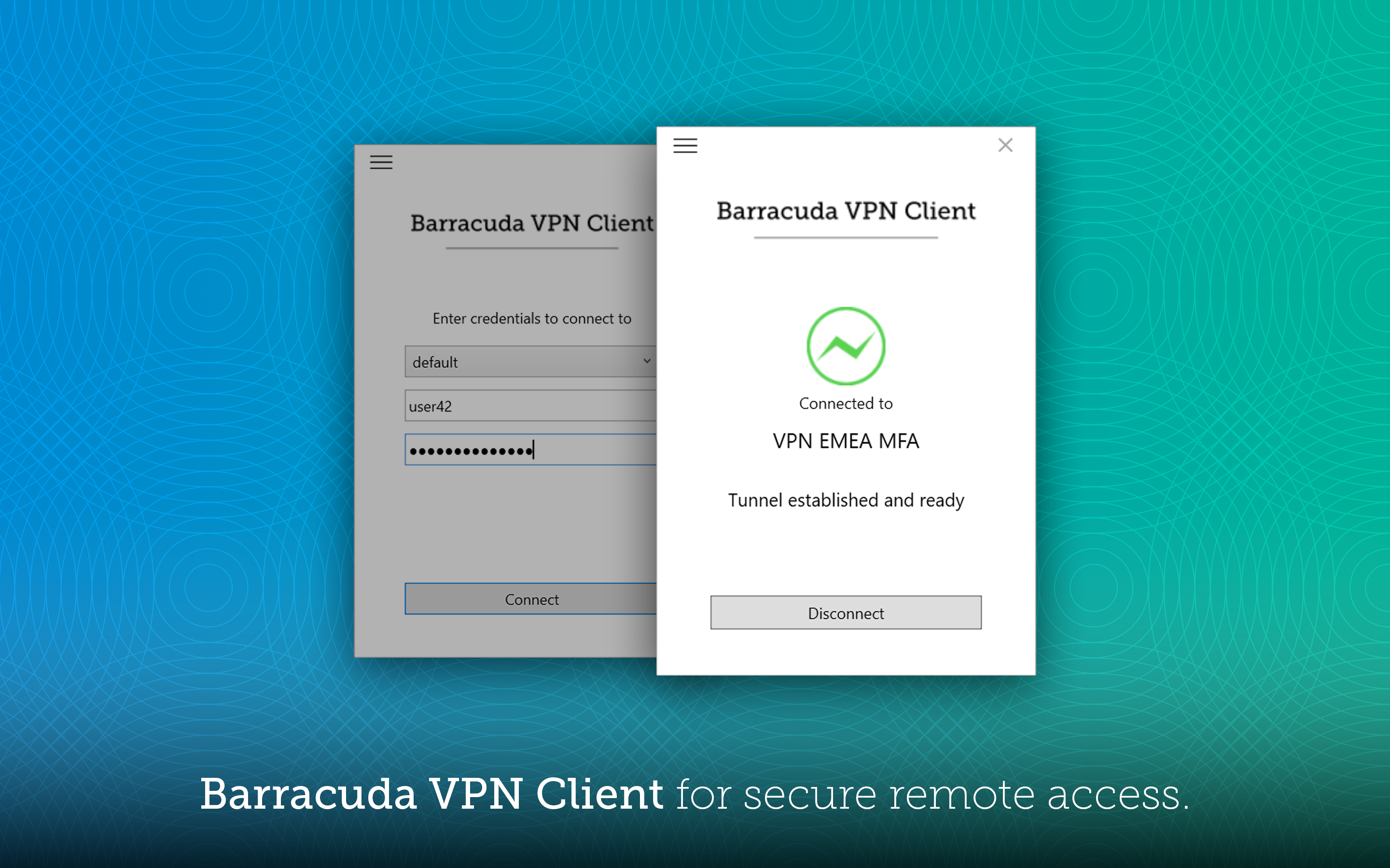 Barracuda Network Access Client
