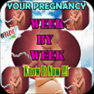 Your Pregnancy Week By Week
