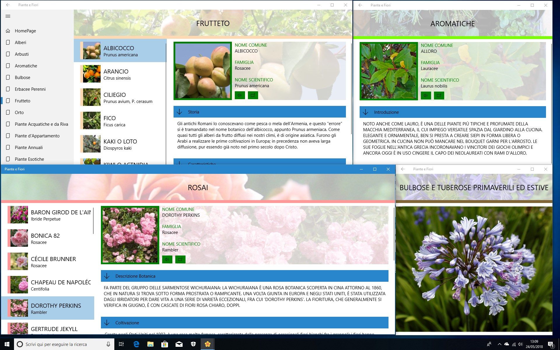 Visualizza più schede botaniche contemporaneamente!