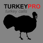 Turkey Calls - Turkey Hunting Calls - Turkey Sounds