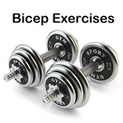 Bicep Exercises