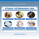 Studio Veterinario Pro