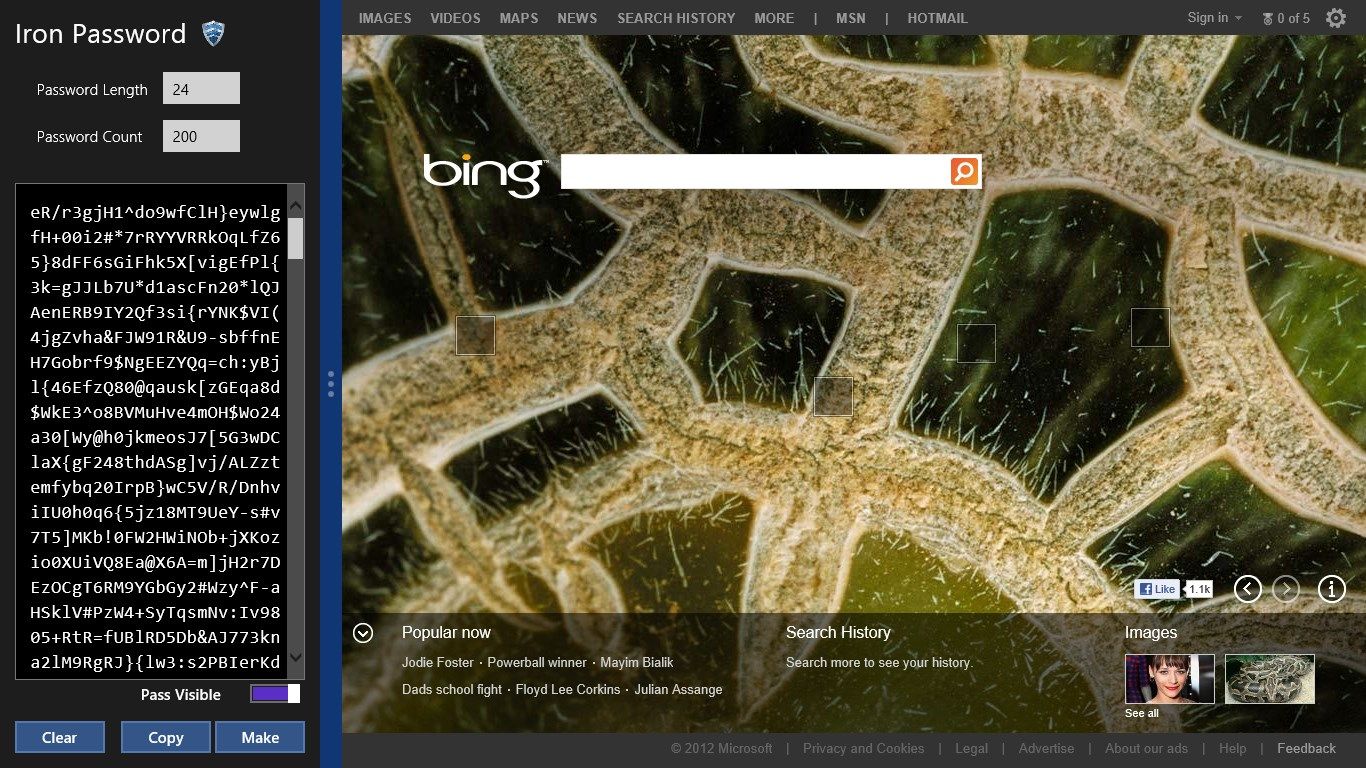 Password generator being used in snap mode, alongside Bing