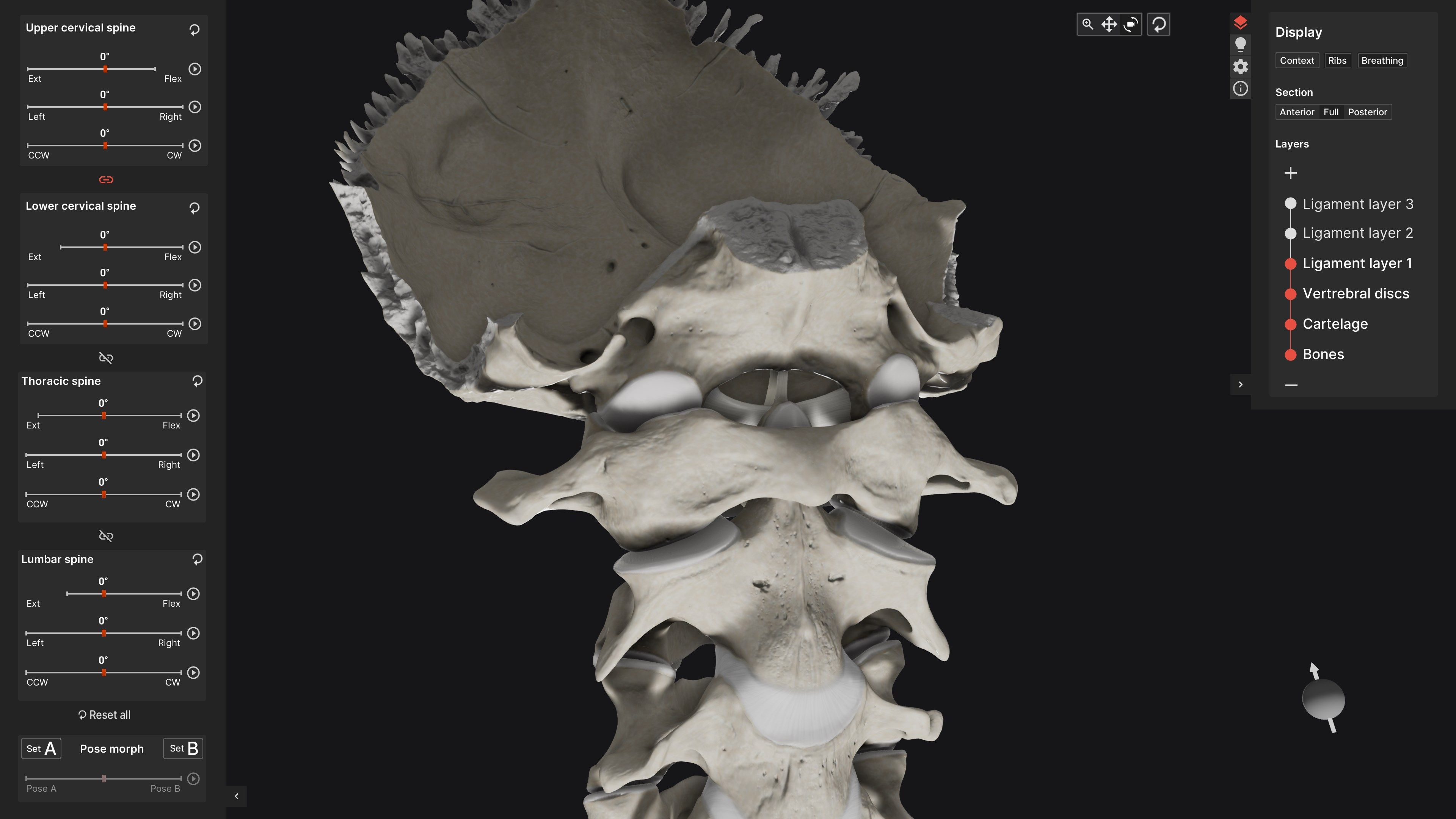 Biomechanics of the Spine