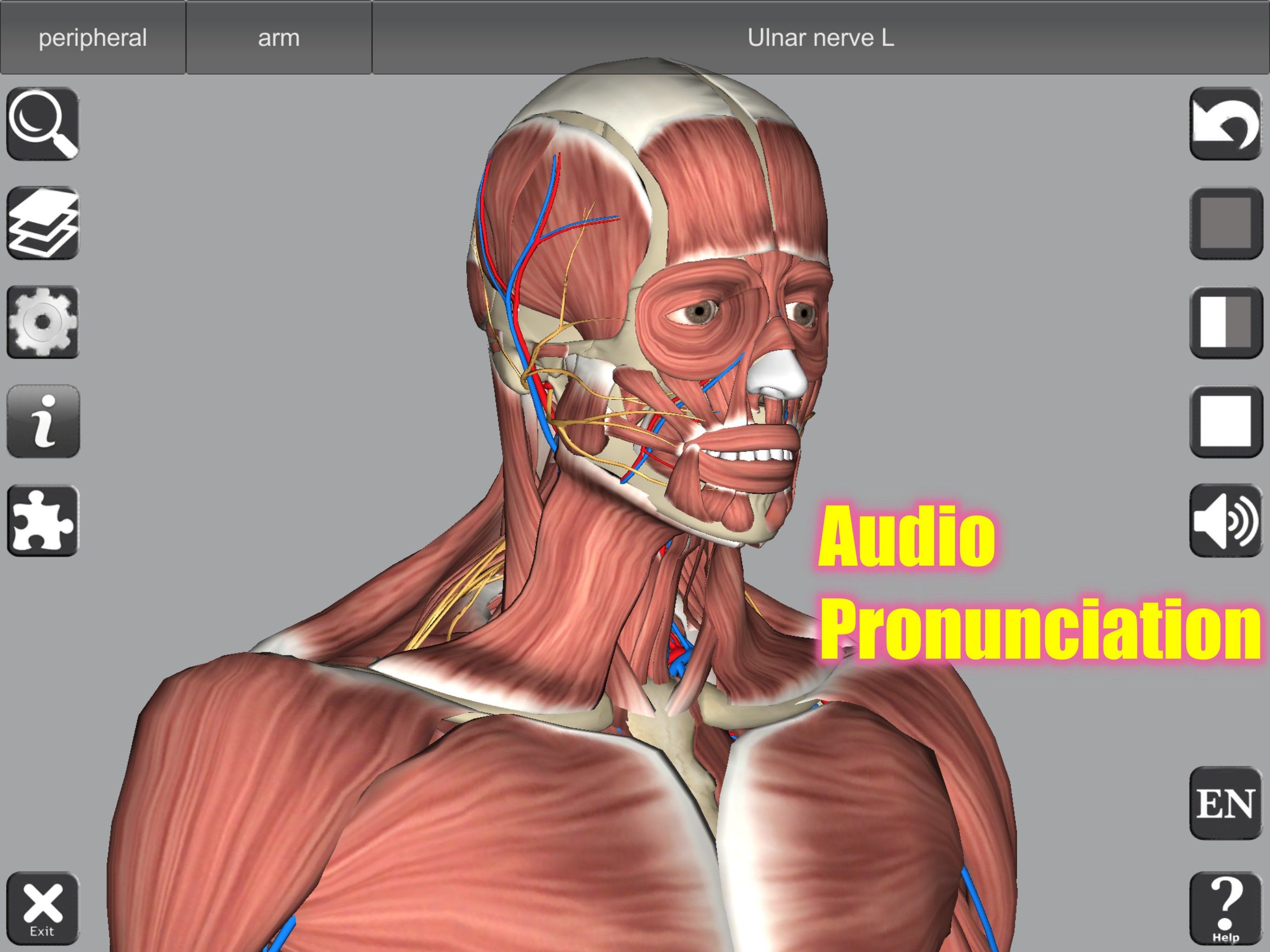 Audio Pronunciation
