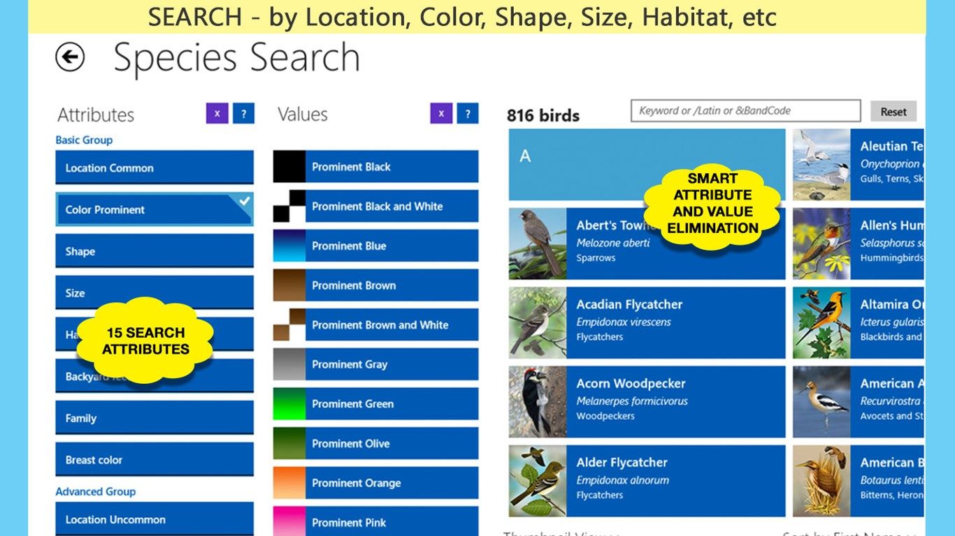 Search: decision engine makes you an expert in bird identification