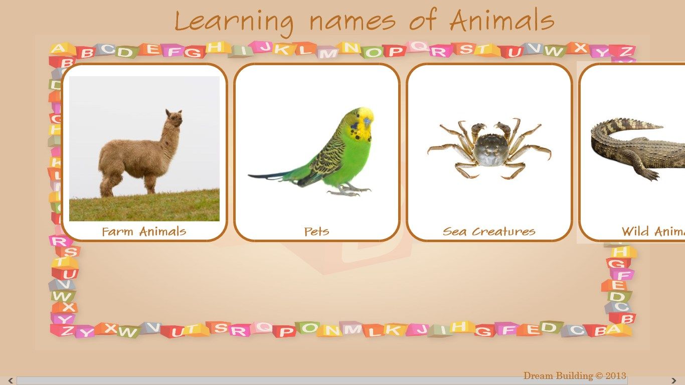 You have a choice of which category of animals to begin with.