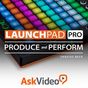 Course For Launchpad Pro