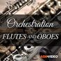 Flutes and Oboes Course by Ask.Video