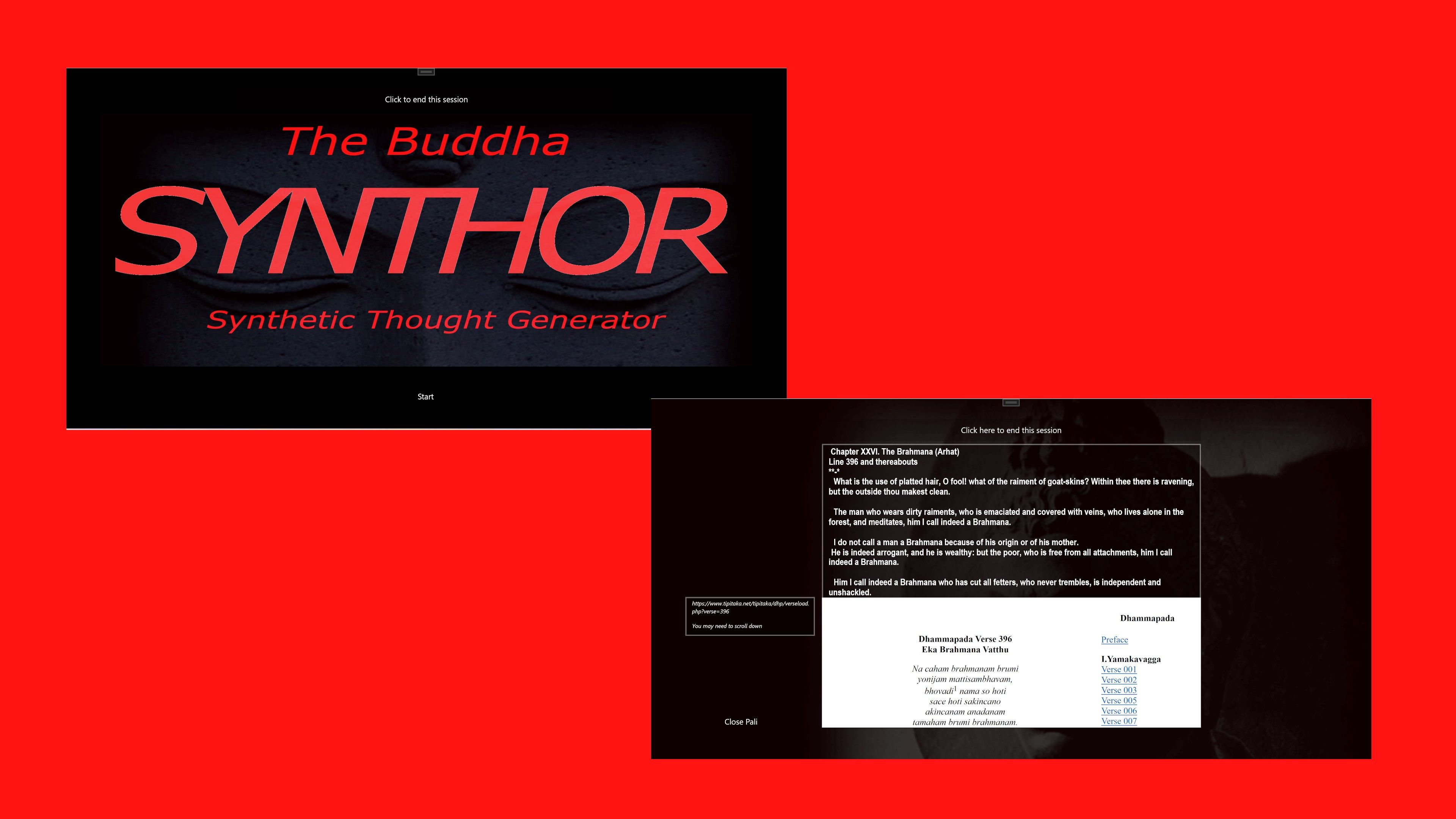 The Buddha Synthor example
