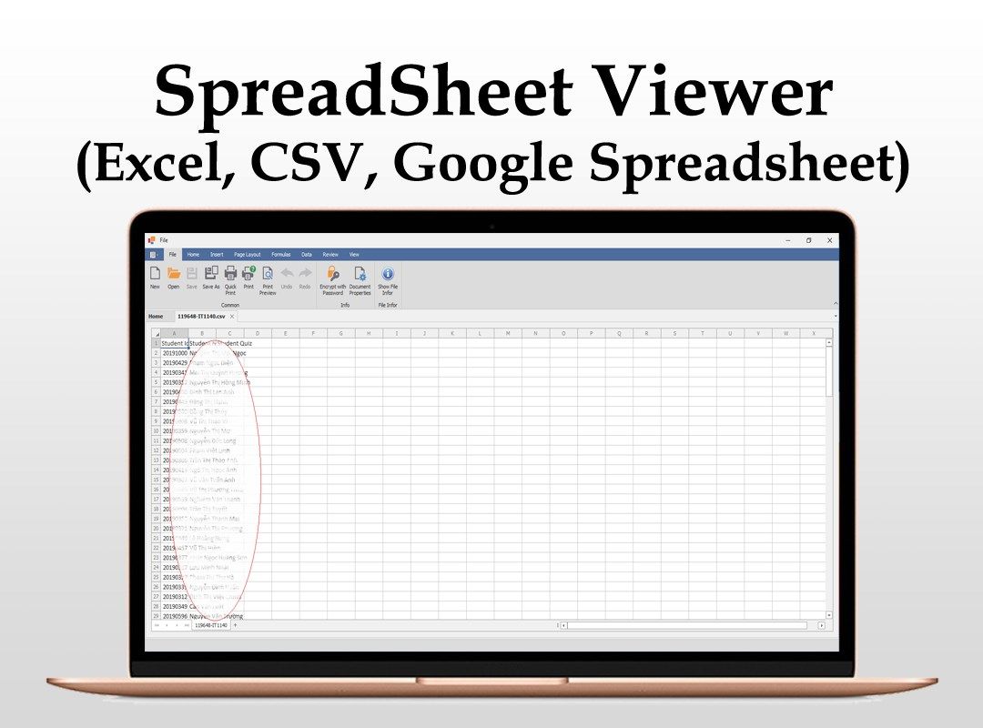 XLSX Spreadsheet