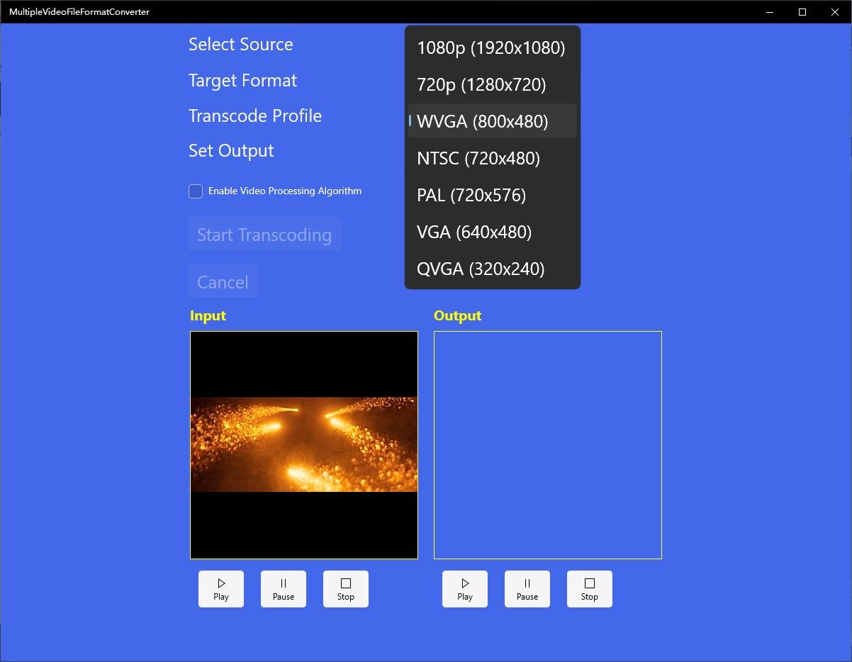 Multiple video file format converter