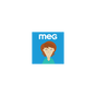 MEG Audit Tool v3