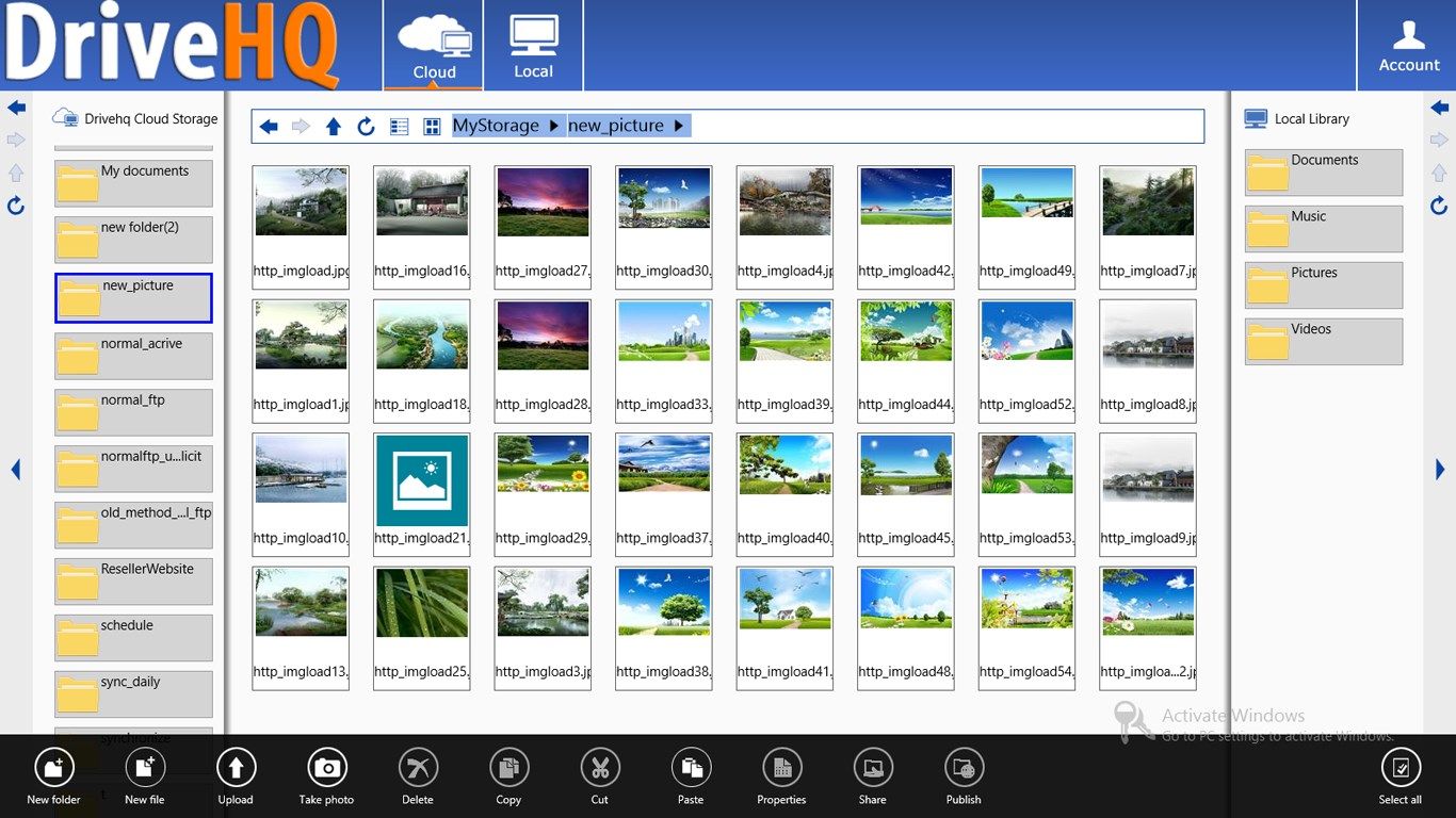 DriveHQ FileManager displaying an image folder on the Cloud File Server. The local folders are on the right-hand side.