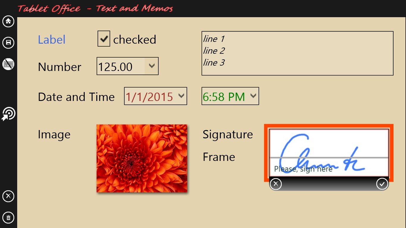 entry fields for text, number, time, date; images from file or camera; sketch or signatures; frames