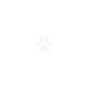 Know Pet