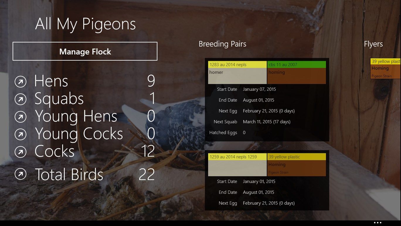 Main screen shows makeup of your flock, Breeding Pairs, Flyers...